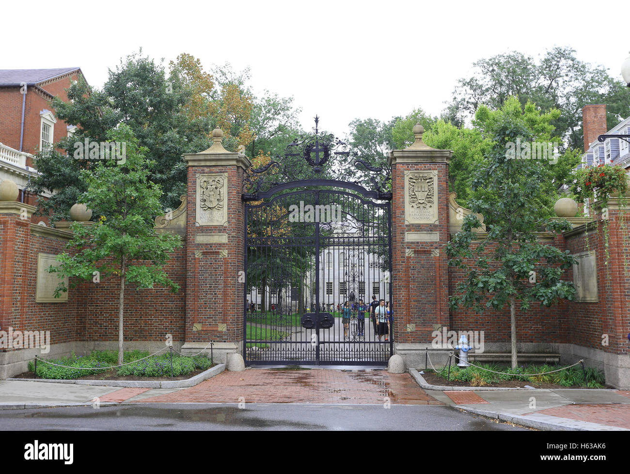 BOSTON, Stati Uniti d'America - 10 sett: la famosa la Harvard University di Cambridge, MA, Stati Uniti d'America il 10 settembre 2016. Per quanto riguarda la classifica di specifici Foto Stock