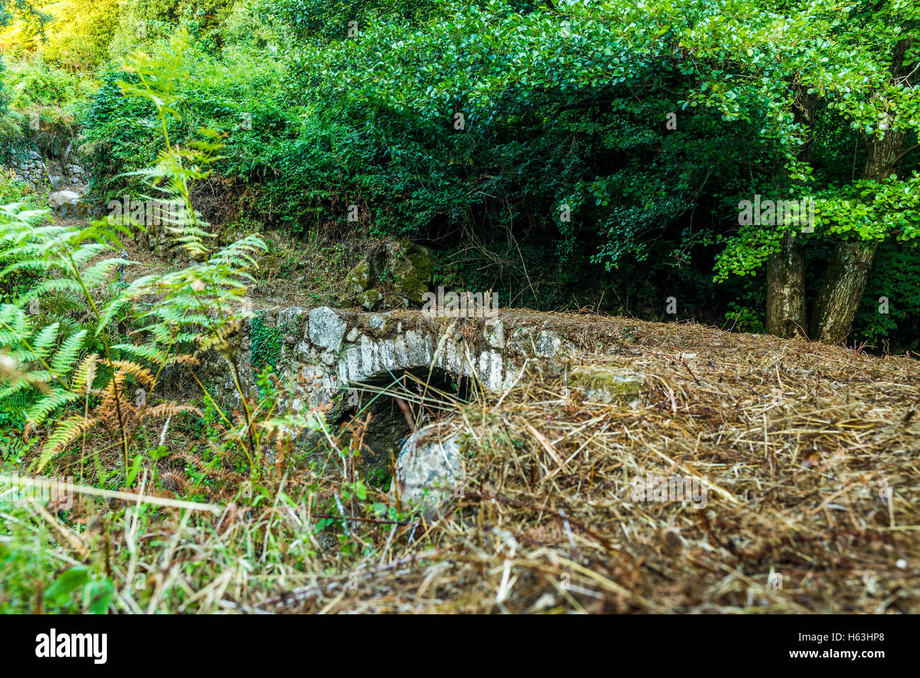 Vecchio abbandonato ponte genovese in Corsica - 1 Foto Stock