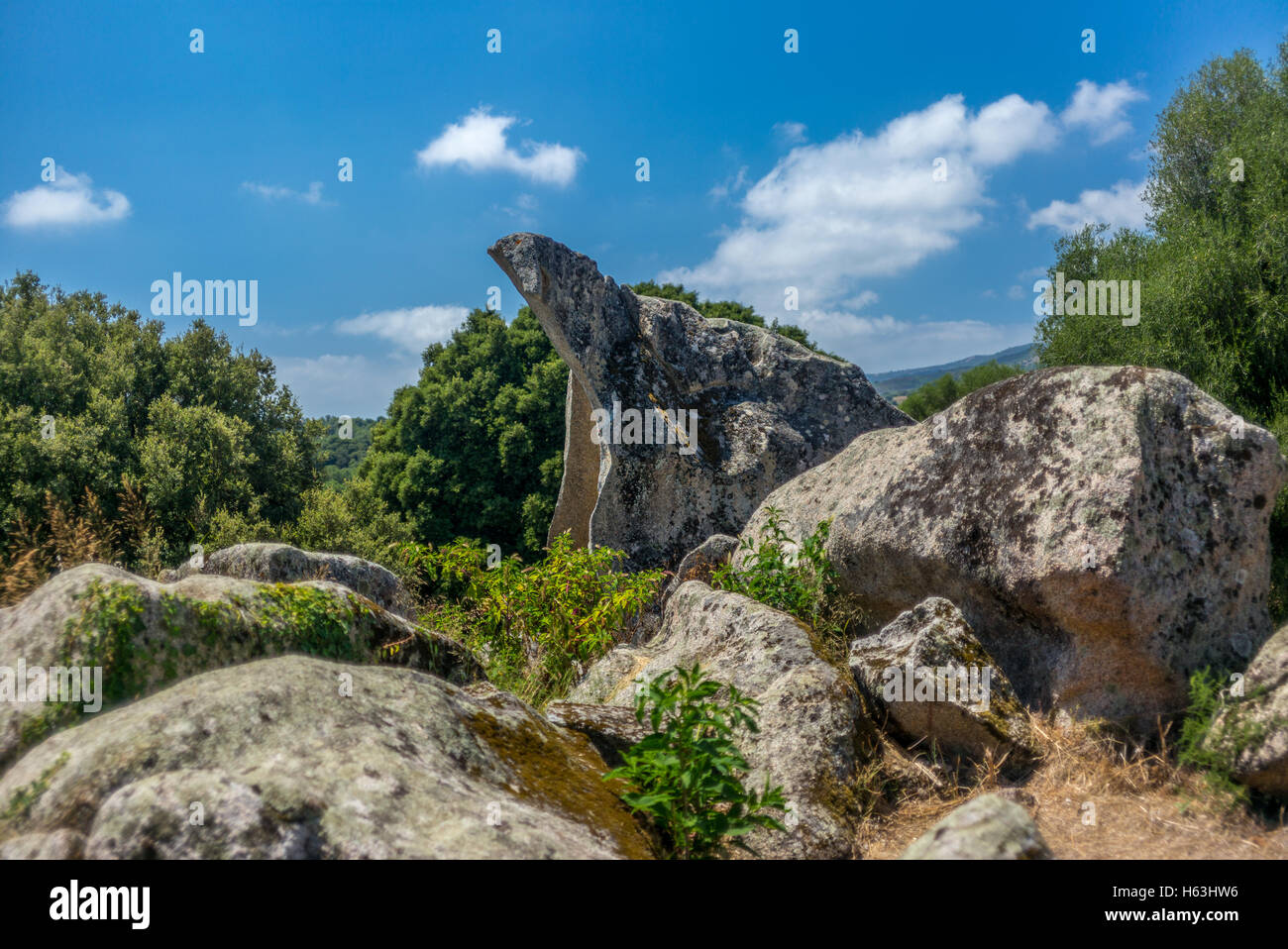 A forma di animale strane formazioni rocciose in Corsica - 3 Foto Stock