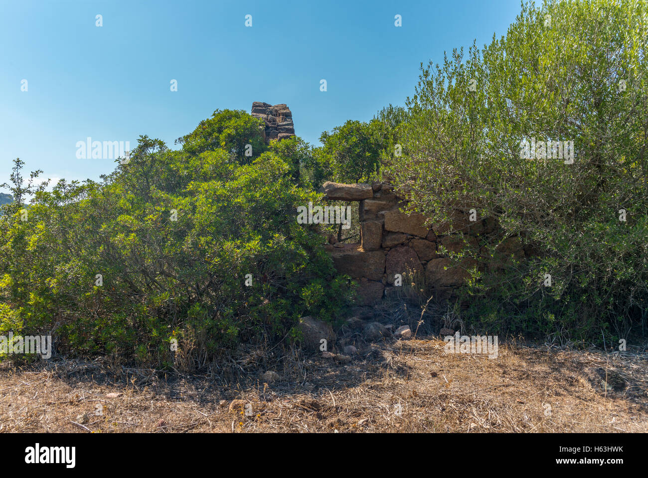 Vista delle rovine di una casa in Corsica Foto Stock