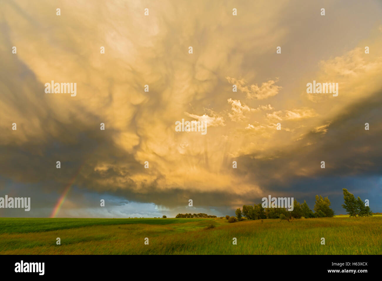 Un arcobaleno arco e cloud convergenti le ombre al tramonto su luglio 3, 2016 da casa nel sud dell'Alberta. Le nuvole presentano la classe Foto Stock