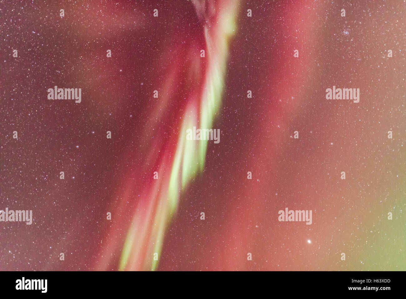 Un molto rosso-dominato aurora cercando le tende come essi convergono quasi overhead. Il Big Dipper è a sinistra e Leo a destra Foto Stock