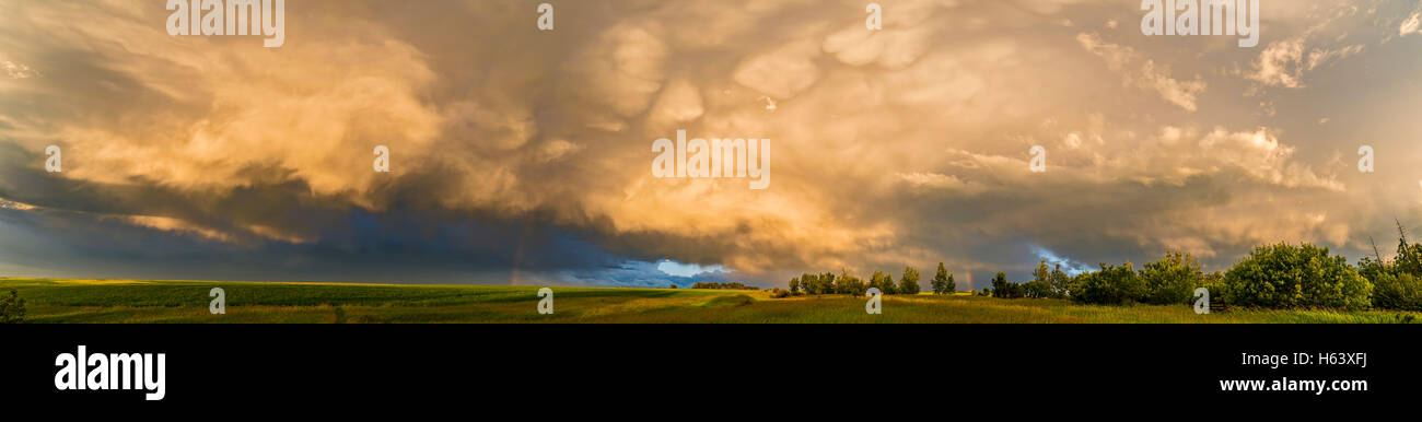 Un cloudscape di un temporale e frammenti di arcobaleno nella luce del sole basso da casa nel sud Alberta, Luglio 3, 2016. Th Foto Stock