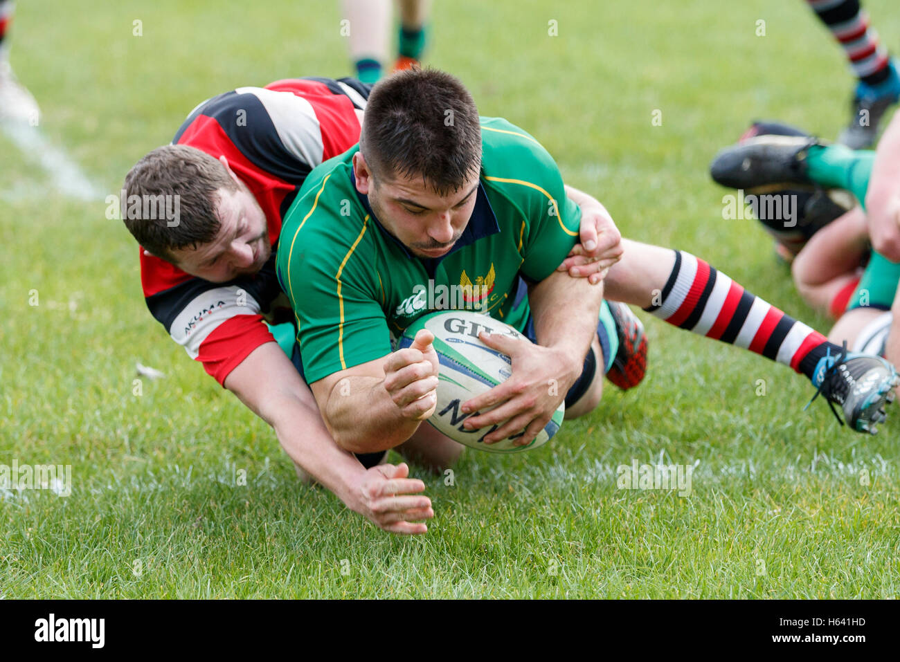 1° NDRFC XV vs Frome RFC 1° XV - Dorset, Inghilterra. Lettore NDRFC rigature provare. Foto Stock