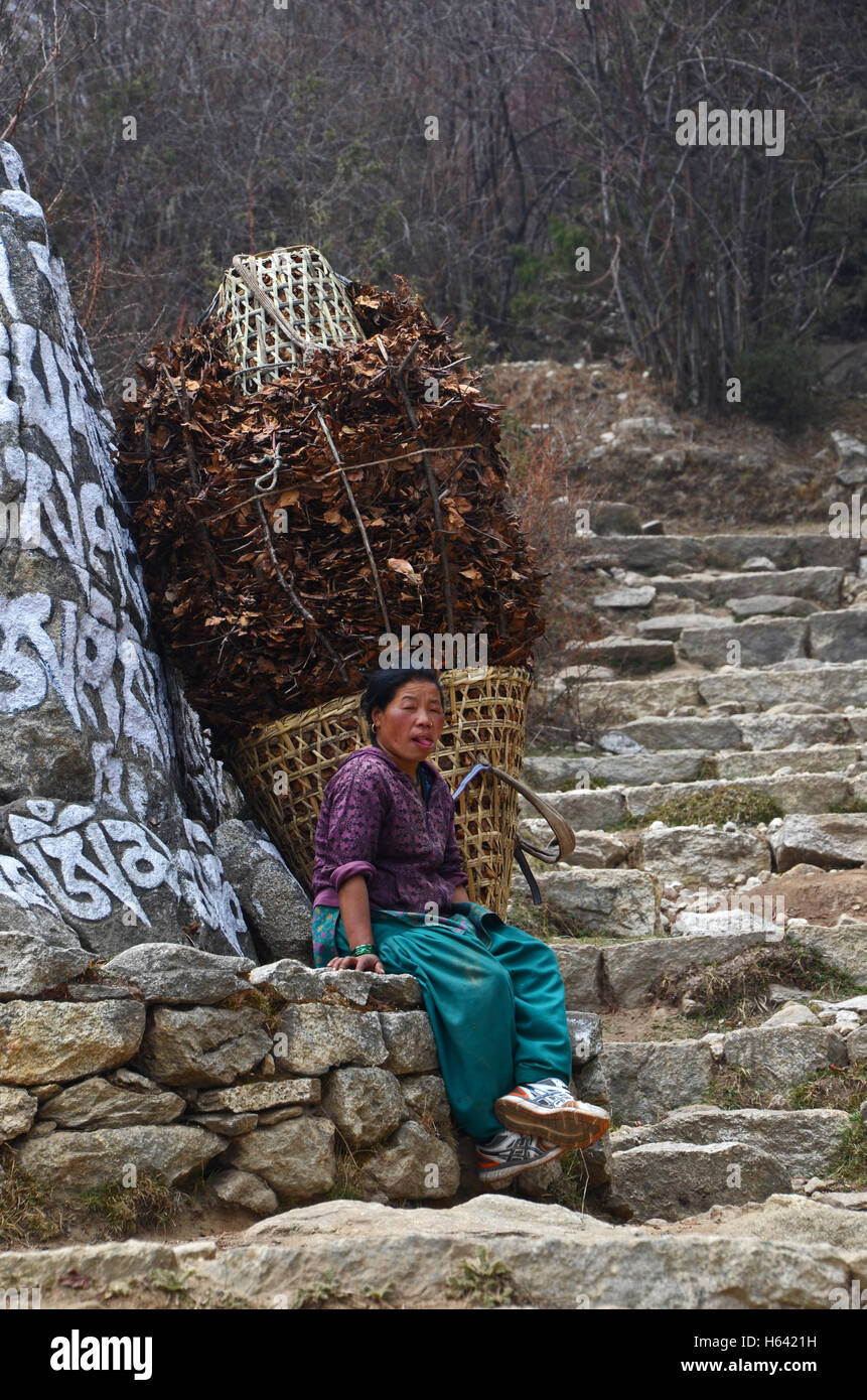 Una donna si appoggia a fianco di scale nei pressi del villaggio di Khumjung, Solukhumbu, Nepal Foto Stock