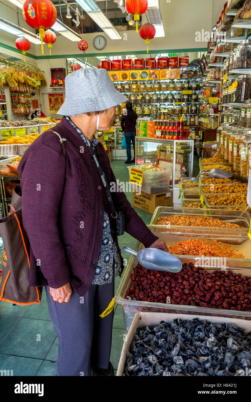 San Francisco, CA, USA, donna anziana cinese che fa shopping da sola nel negozio di medicina cinese, immigranti usa asiatici Foto Stock