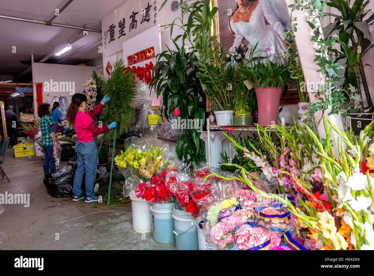 San Francisco, CA, Stati Uniti, Vista grandangolare, negozio interno di fiori cinesi, Chinatown, display, quartiere cinese di san francisco, esposizione orizzontale Foto Stock