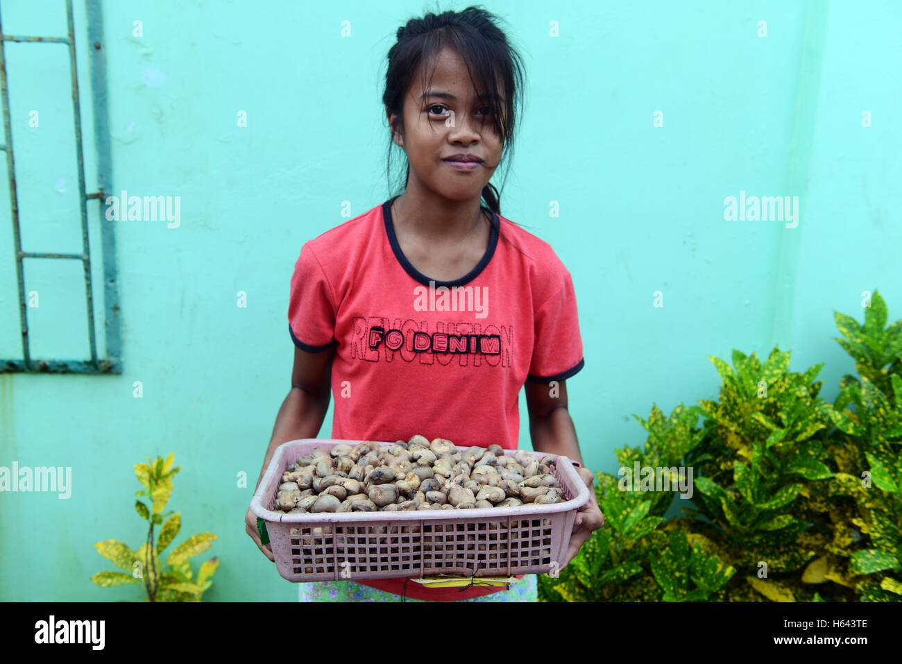 Una ragazza filippina tenendo un cesto di noci di acagiù nel loro guscio. Foto Stock
