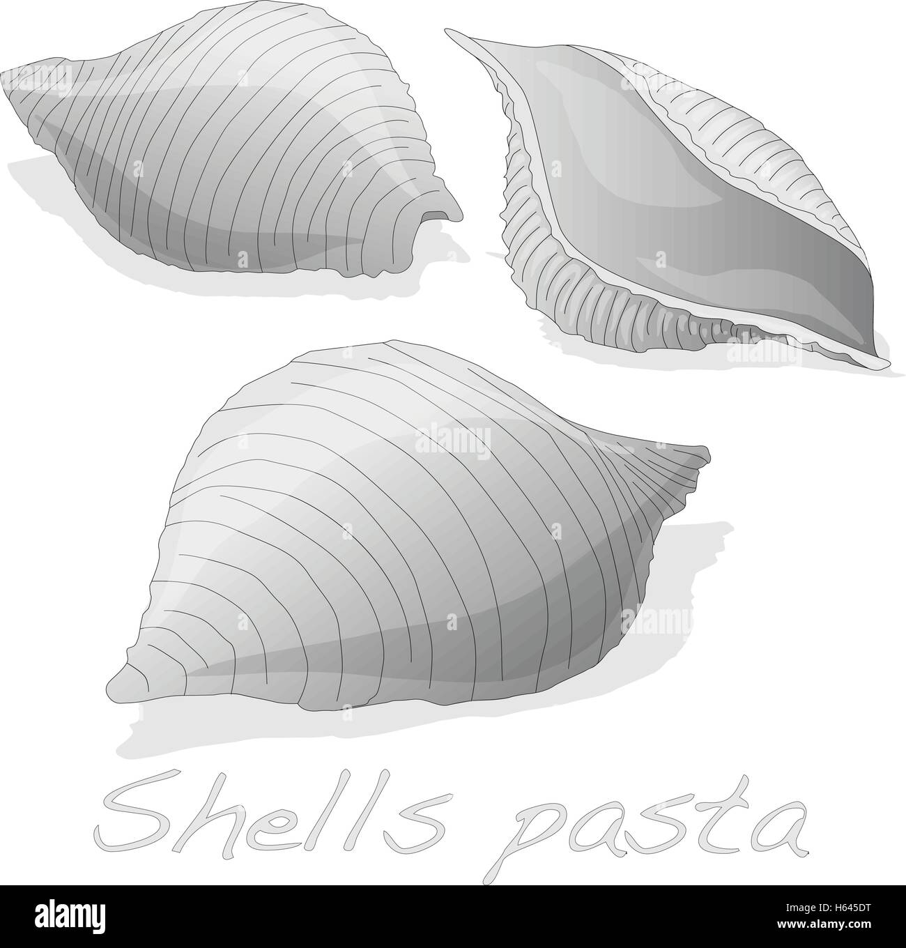 - Pasta Conchiglioni 'shell' di pasta vettore isolato Illustrazione Vettoriale