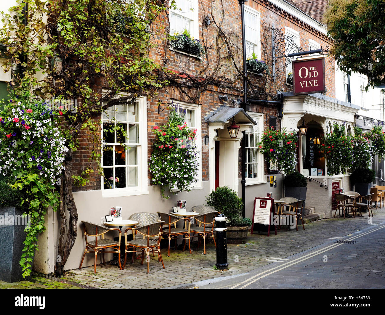 La vecchia vite un pub e un ristorante premiato in grande Minster Street, Winchester, Hampshire. Foto Stock