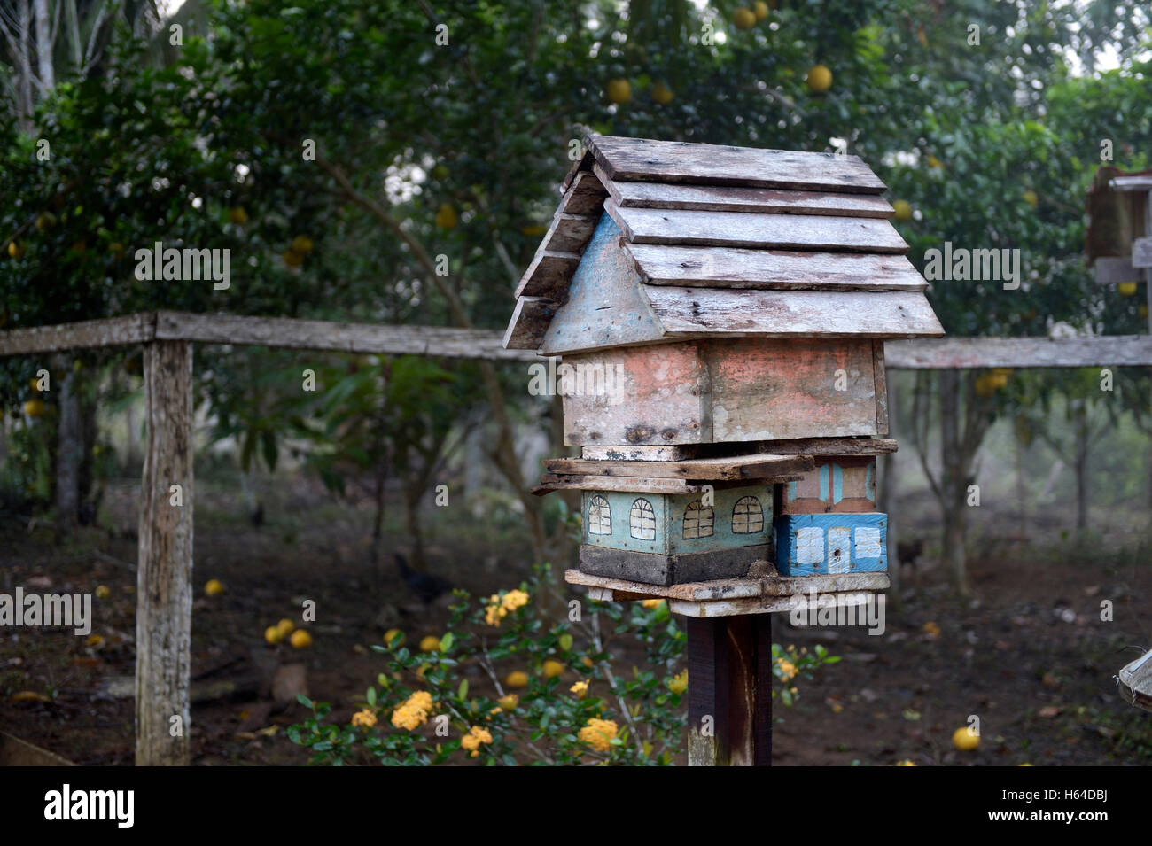 Il Brasile, Para Trairao, la foresta pluviale amazzonica, la riforma agraria Areia, apiario Foto Stock