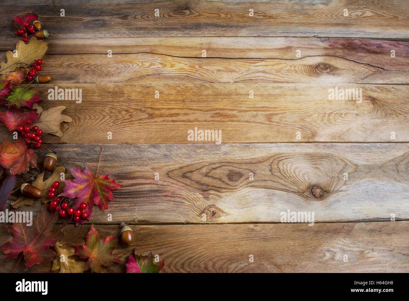 Il messaggio di saluto di ringraziamento sfondo con bacche rosse, acorn e caduta foglie di acero . Sfondo di ringraziamento con simboli stagionali. Foto Stock