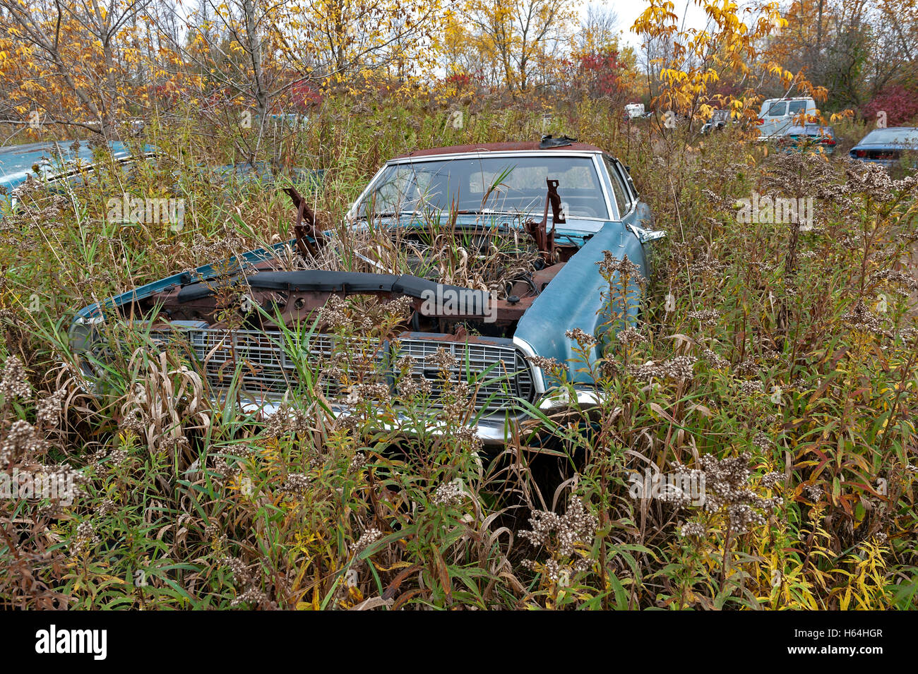 Junkyard con Ford Thunderbird Foto Stock