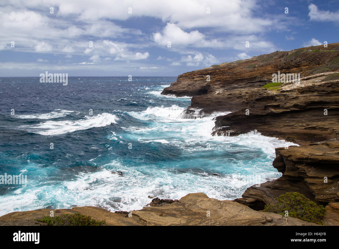 Il paesaggio costiero a Halona Cove sulla costa sud di Oahu, Hawaii, Stati Uniti d'America. Foto Stock
