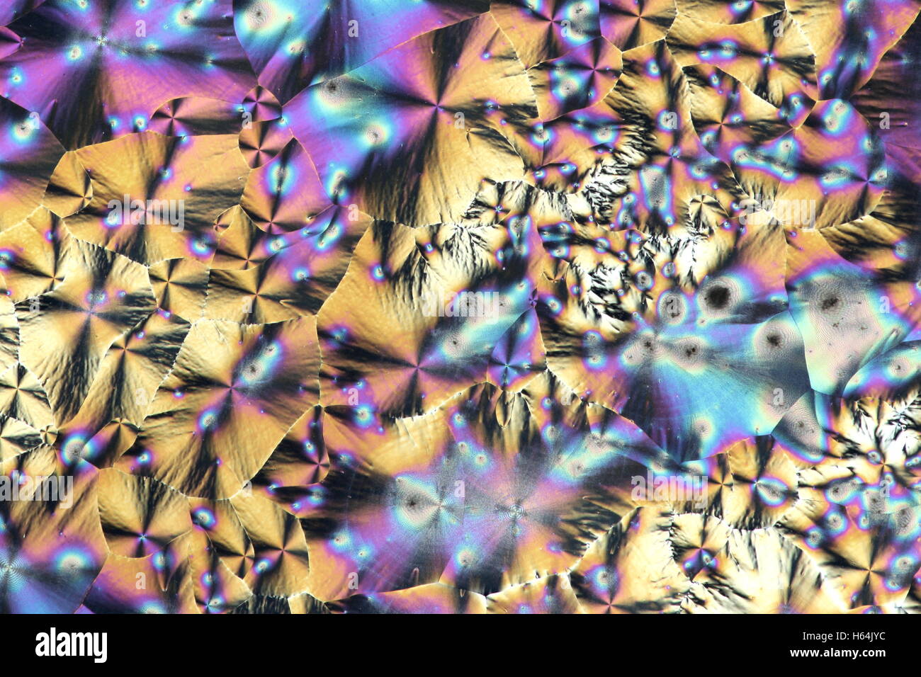 Questo è acido citrico cristallizzato e fotografati con un microscopio. Foto Stock