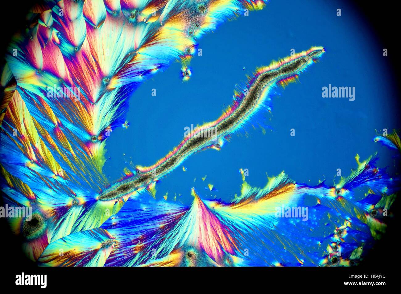 Immagine artistica di cristalli di vitamina C, acido ascorbico Foto Stock