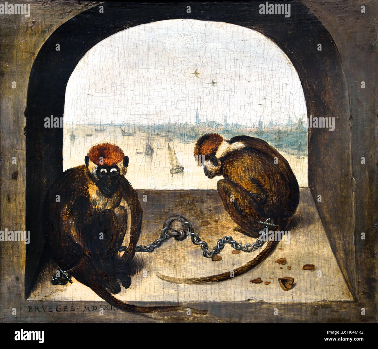 Due scimmie concatenate 1562 Pieter Brueghel ( ) di Bruegel il Vecchio Breda1525 - 1569 Bruxelles olandese belga fiamminga del Belgio Paesi Bassi Medieval Medioevo Foto Stock