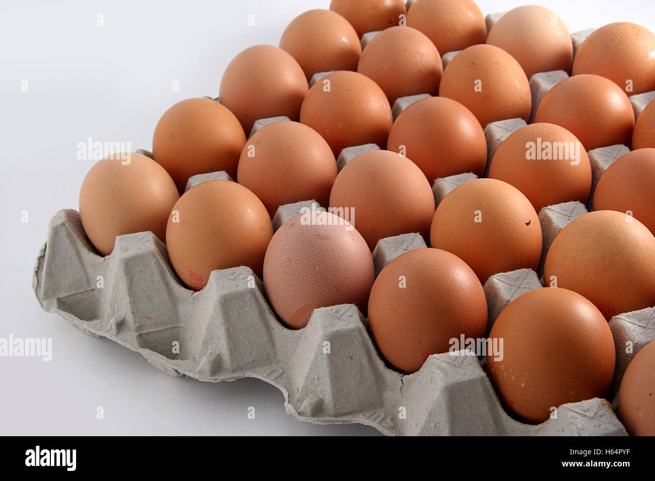 Uova di colore marrone nella scatola in cartone Foto Stock