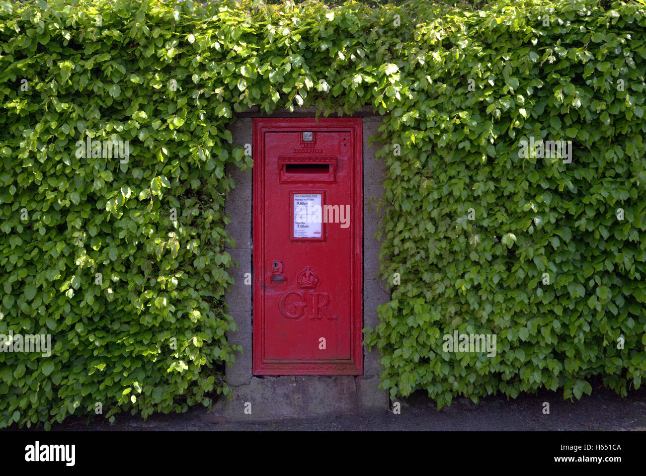 Rosso lettera georgiano red post office box con tettoia di edera Foto Stock