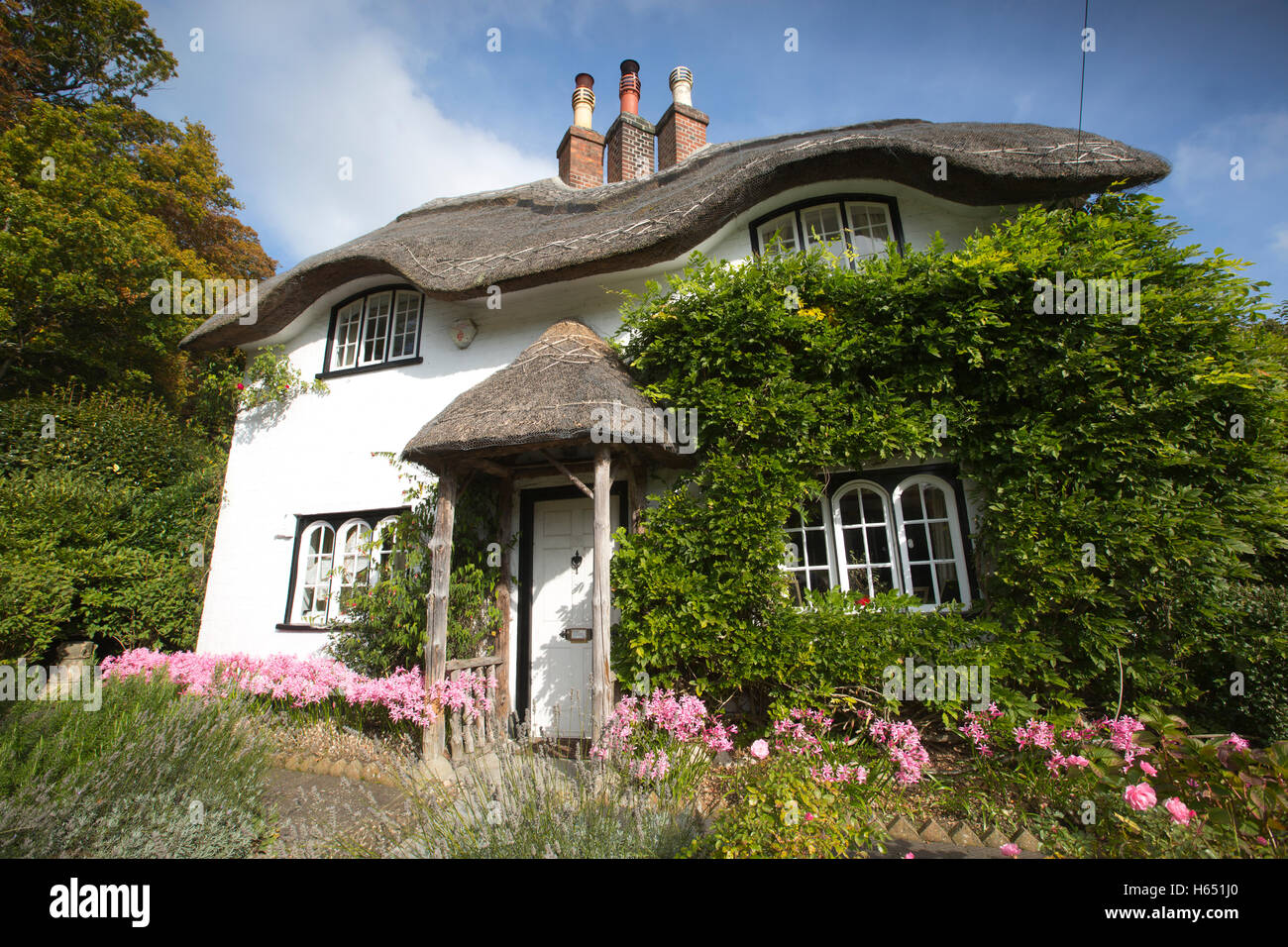 Beehive Cottage, Swan verde, Lyndhurst, New Forest, Hampshire, Inghilterra, Regno Unito Foto Stock