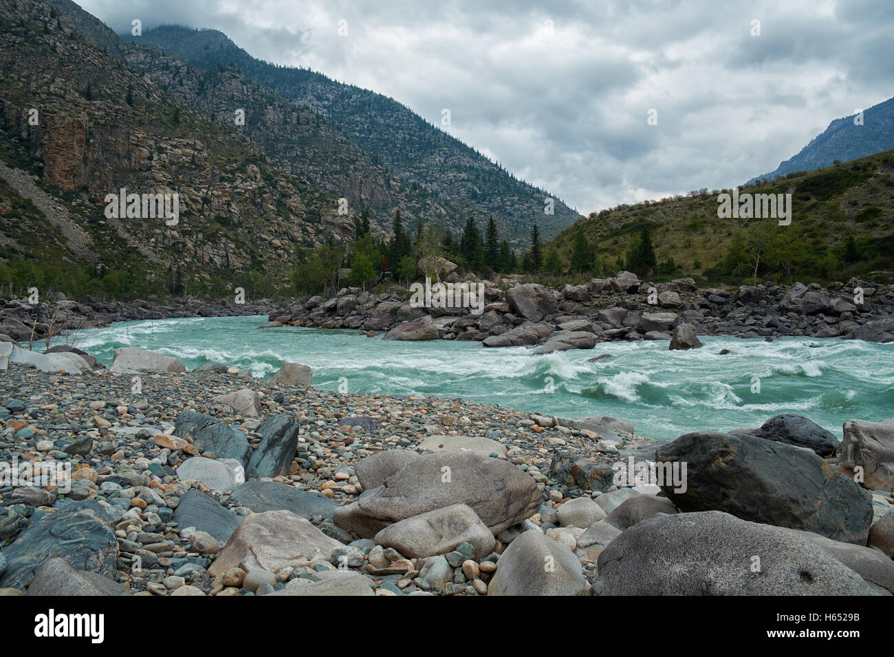 Siberiano fiume Katun in Altai montagne a moody giorno Foto Stock