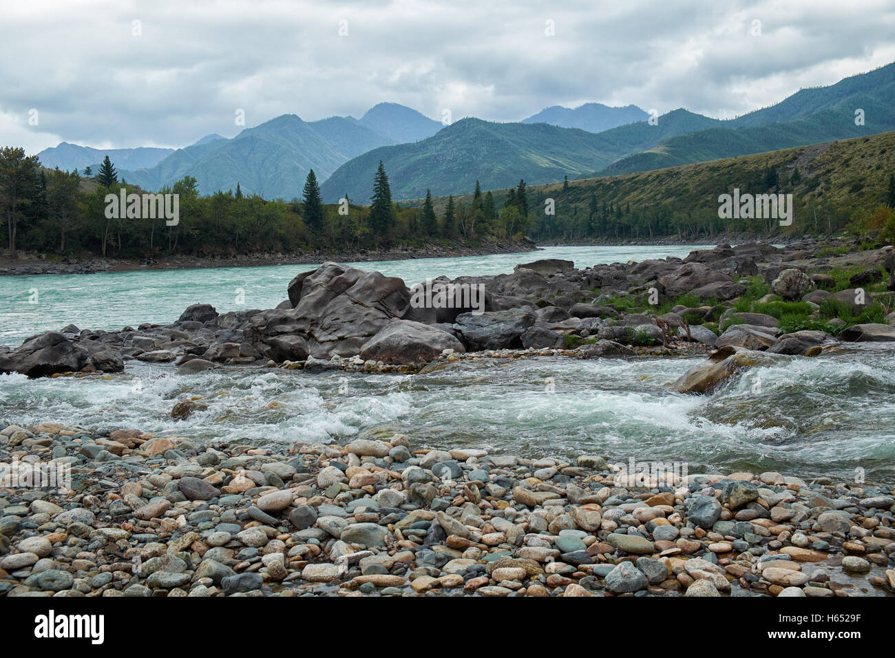 Siberiano fiume Katun in Altai montagne a moody giorno Foto Stock