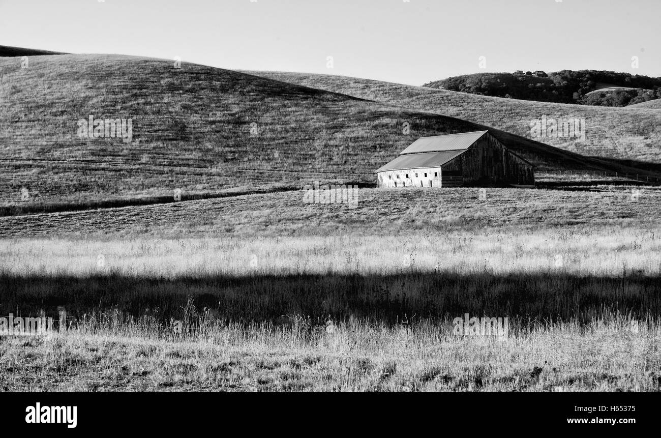 Il vecchio fienile rustico situato in prato terre nelle colline della California Foto Stock