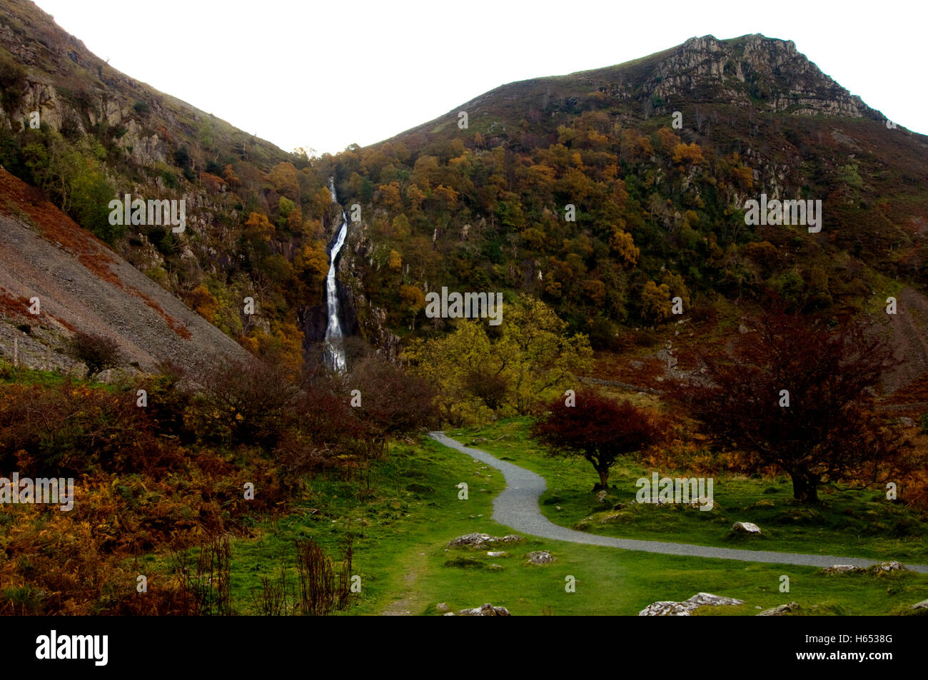 Aber cade su di una grigia giornata autunnale Foto Stock