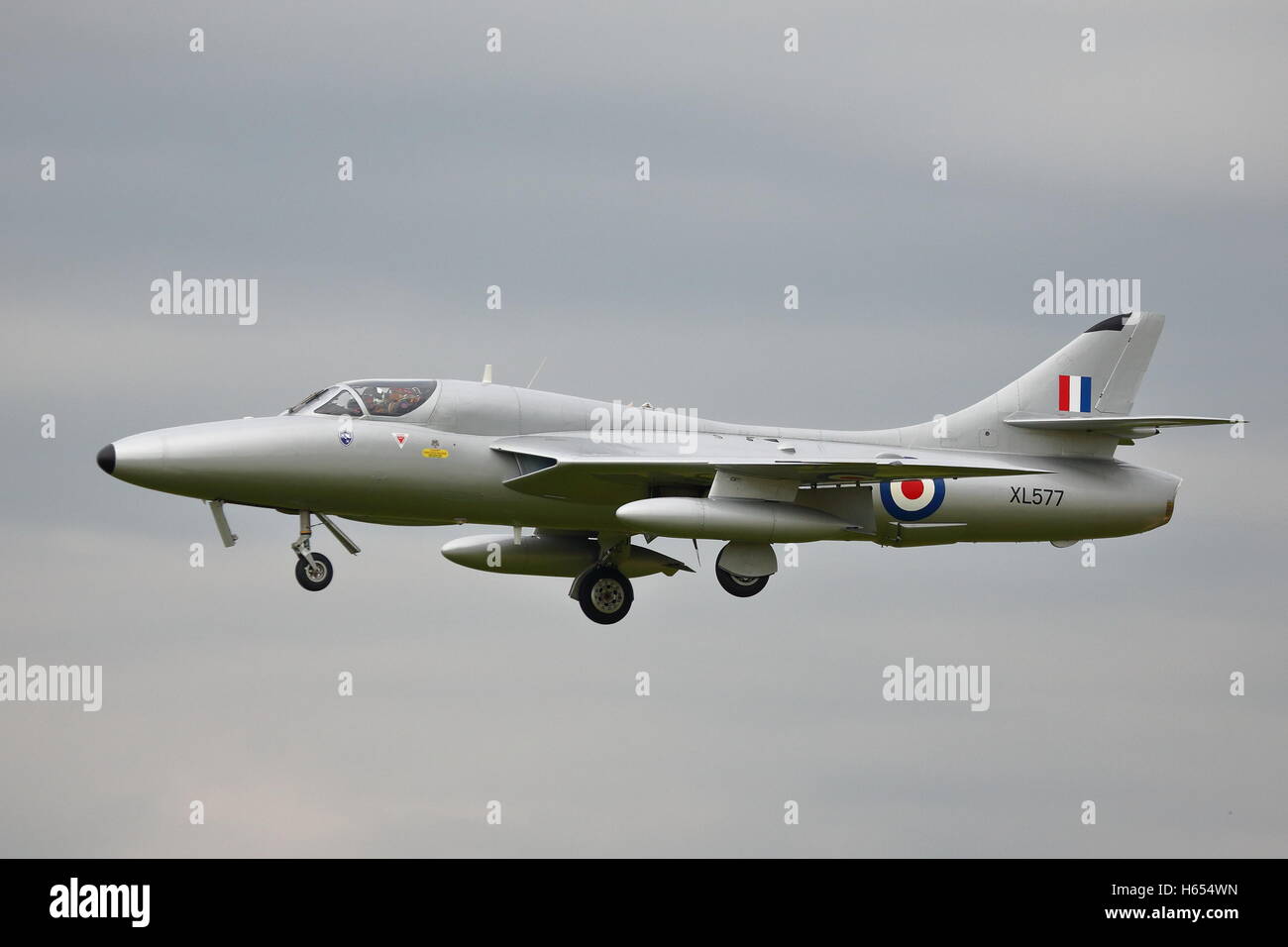 Hawker Hunter T.7 XL577 fatto una comparsa al RIAT 2014 a RAF Fairford, REGNO UNITO Foto Stock