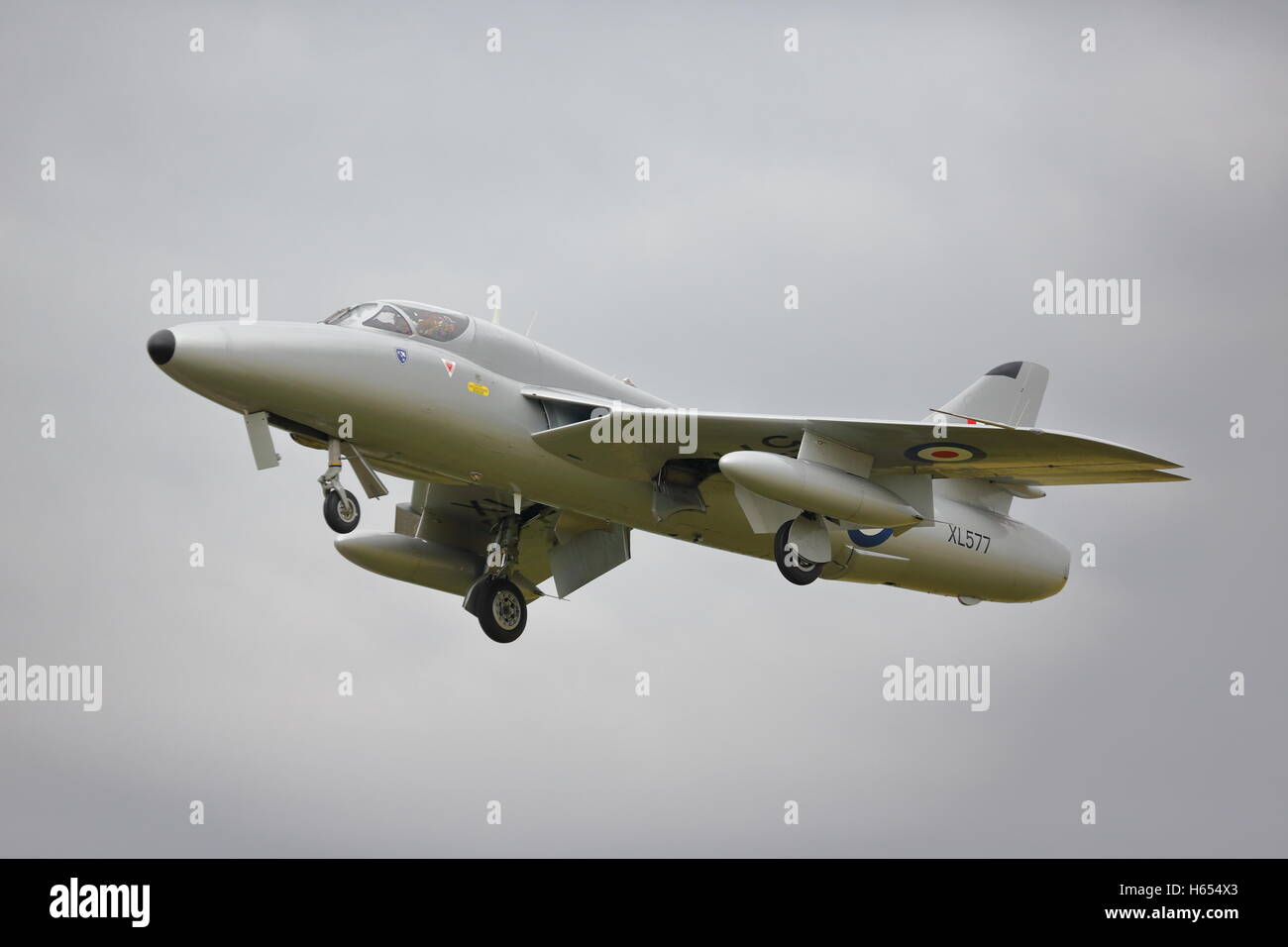 Hawker Hunter T.7 XL577 fatto una comparsa al RIAT 2014 a RAF Fairford, REGNO UNITO Foto Stock