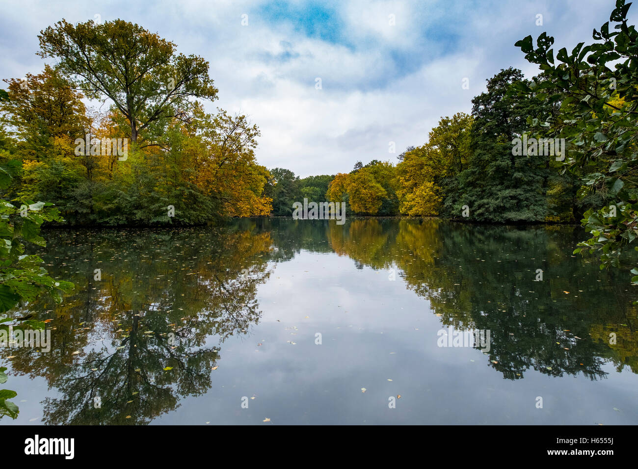 Vista del lago e alberi in Autunno nel parco Tiergarten di Berlino Germania Foto Stock