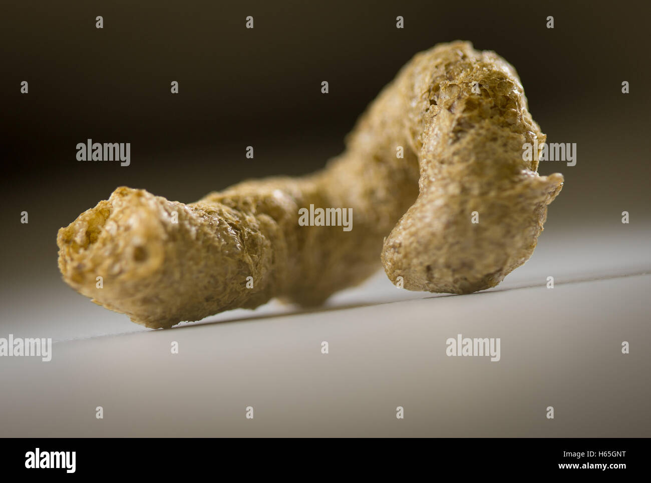 Quakenbrueck, Germania. Xx oct, 2016. Gli sbuffi di alghe presentato dall'Istituto tedesco di ingegneria alimentare (DIL.) in Quakenbrueck, Germania, 20 ottobre 2016. L'Istituto produce diversi prodotti alimentari mediante l'utilizzo di alghe. Foto. Friso Gentsch © dpa/Alamy Live News Foto Stock