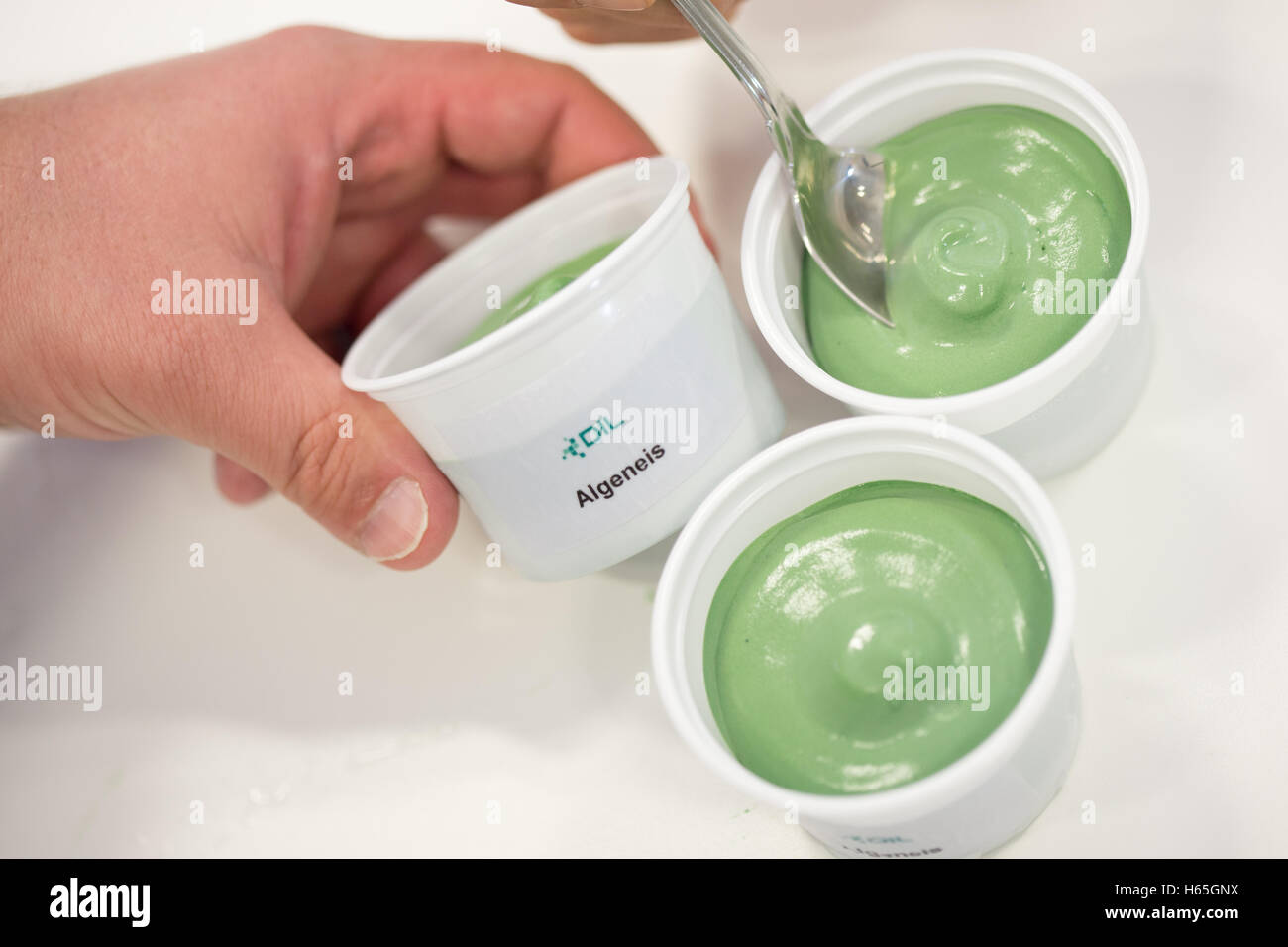 Quakenbrueck, Germania. Xx oct, 2016. Le alghe gelato presentato dall'Istituto tedesco di ingegneria alimentare (DIL.) in Quakenbrueck, Germania, 20 ottobre 2016. L'Istituto produce diversi prodotti alimentari mediante l'utilizzo di alghe. Foto. Friso Gentsch/dpa/Alamy Live News Foto Stock