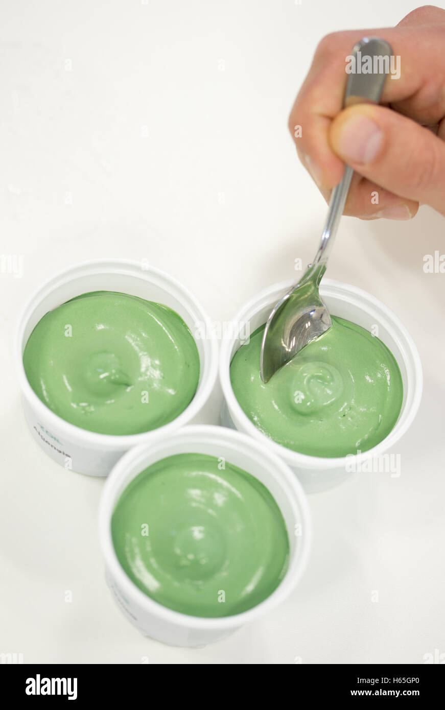 Quakenbrueck, Germania. Xx oct, 2016. Le alghe gelato presentato dall'Istituto tedesco di ingegneria alimentare (DIL.) in Quakenbrueck, Germania, 20 ottobre 2016. L'Istituto produce diversi prodotti alimentari mediante l'utilizzo di alghe. Foto. Friso Gentsch/dpa/Alamy Live News Foto Stock