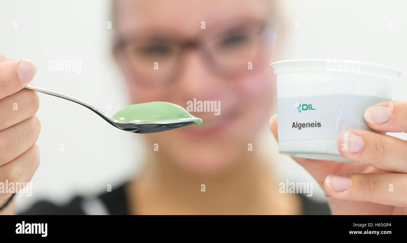 Quakenbrueck, Germania. Xx oct, 2016. Le alghe gelato presentato dall'Istituto tedesco di ingegneria alimentare (DIL.) in Quakenbrueck, Germania, 20 ottobre 2016. L'Istituto produce diversi prodotti alimentari mediante l'utilizzo di alghe. Foto. Friso Gentsch/dpa/Alamy Live News Foto Stock