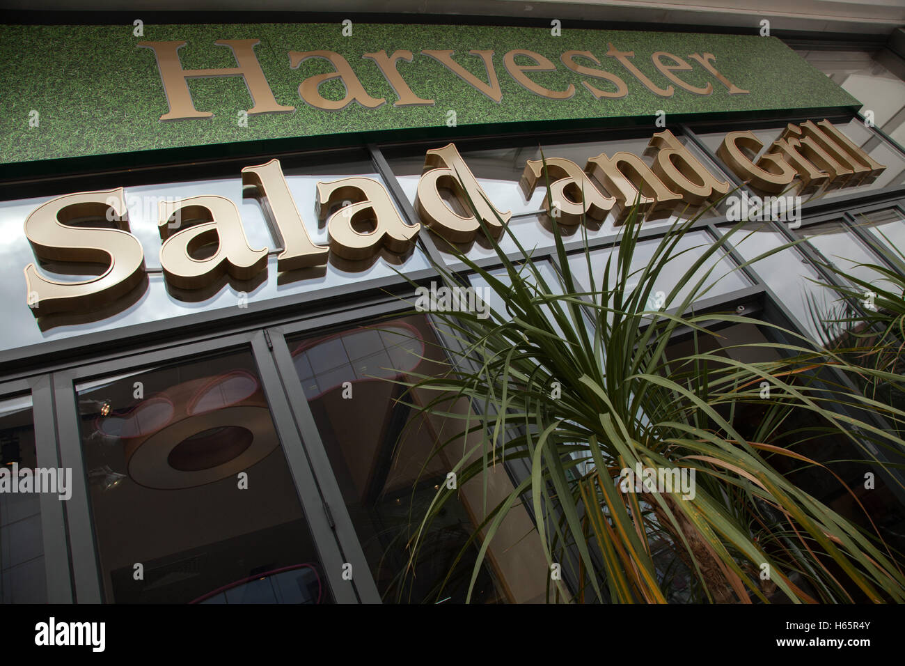 Esterno di un moderno nuovo look Harvester Salad Bar e Grill a West Bromwich, West Midlands, Regno Unito Foto Stock