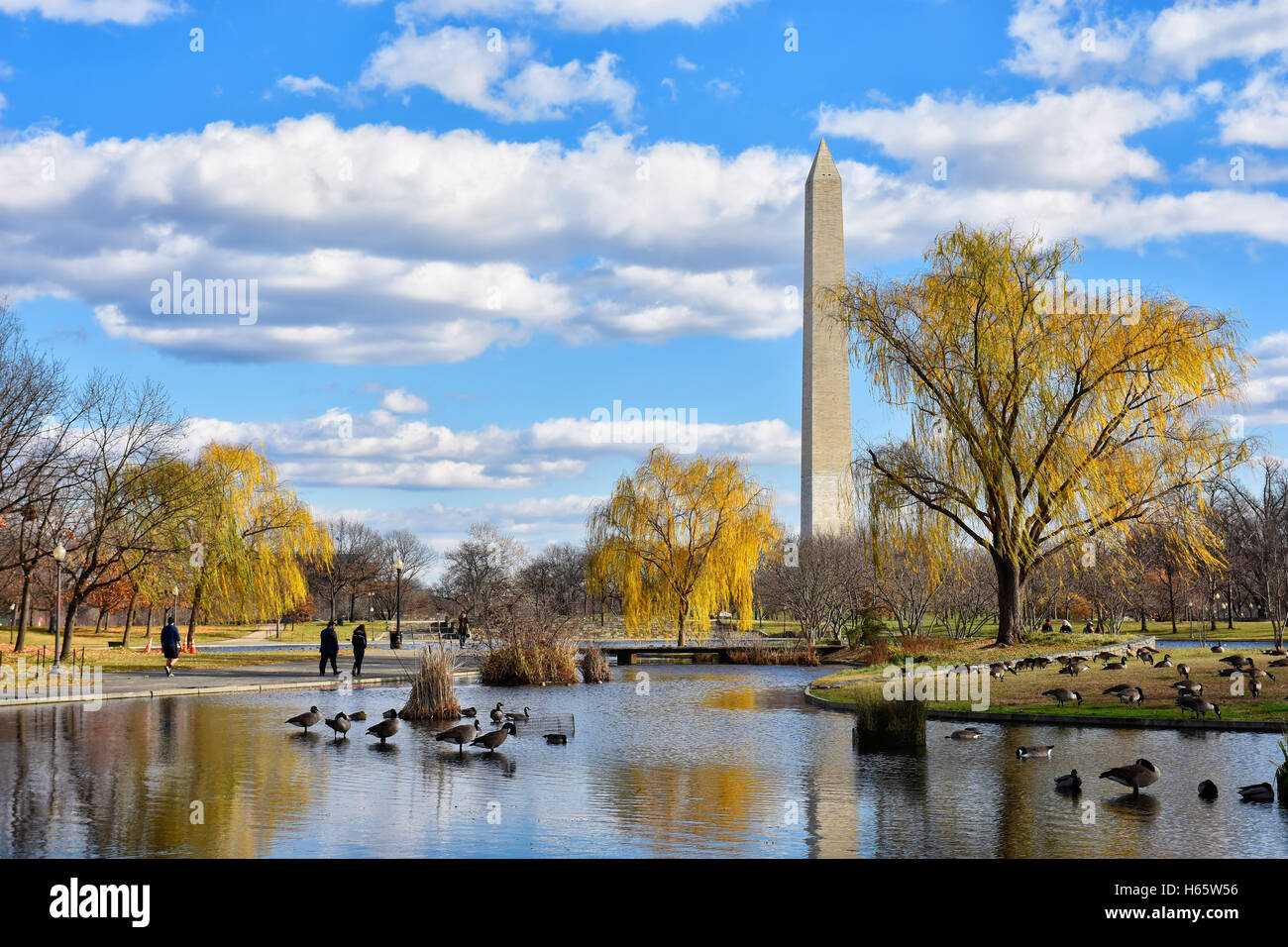 Washington DC, Stati Uniti d'America. Vista del Monumento di Washington dalla Costituzione giardini vicino alla Casa Bianca. Foto Stock