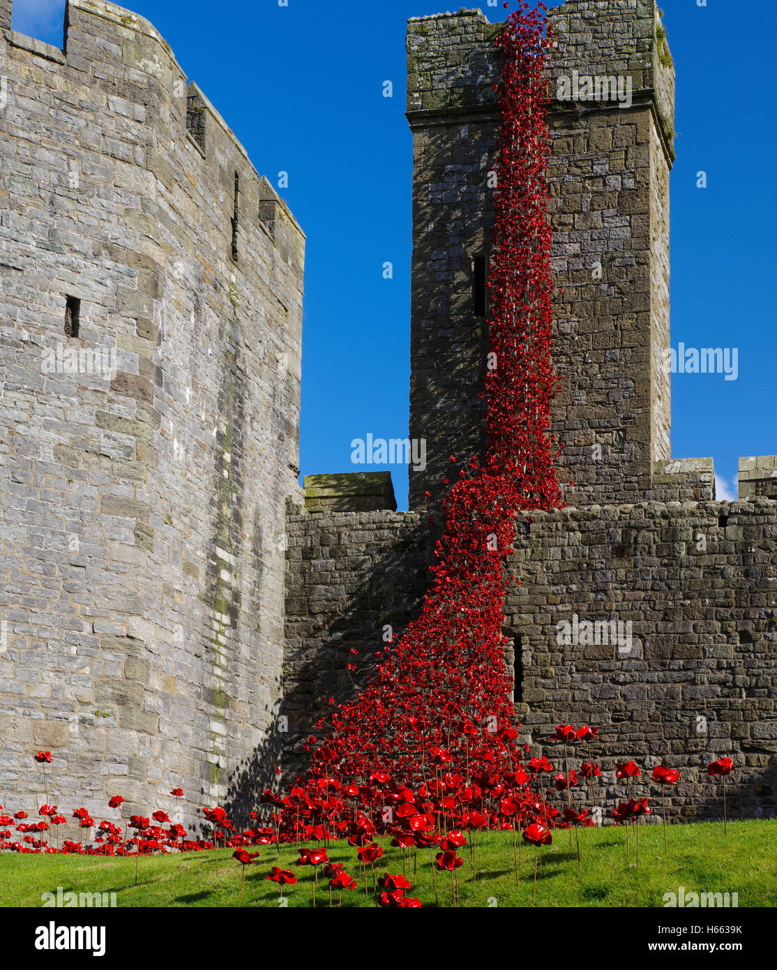 Finestra di pianto installazione a Caernarfon Castle, Galles Foto Stock