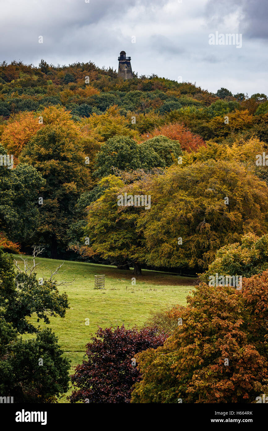 Bellissimi colori autunnali di Wentworth Woodhouse giardini con Hoober stand all'orizzonte Foto Stock