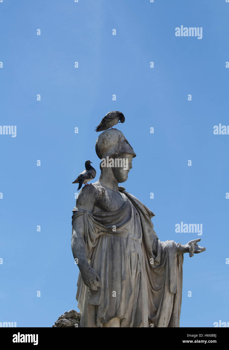 Piccioni sulla parte superiore di una statua a Jarden Des Tuileries a Parigi con il cielo blu e chiaro dello sfondo. Espansiva, del XVII secolo Foto Stock