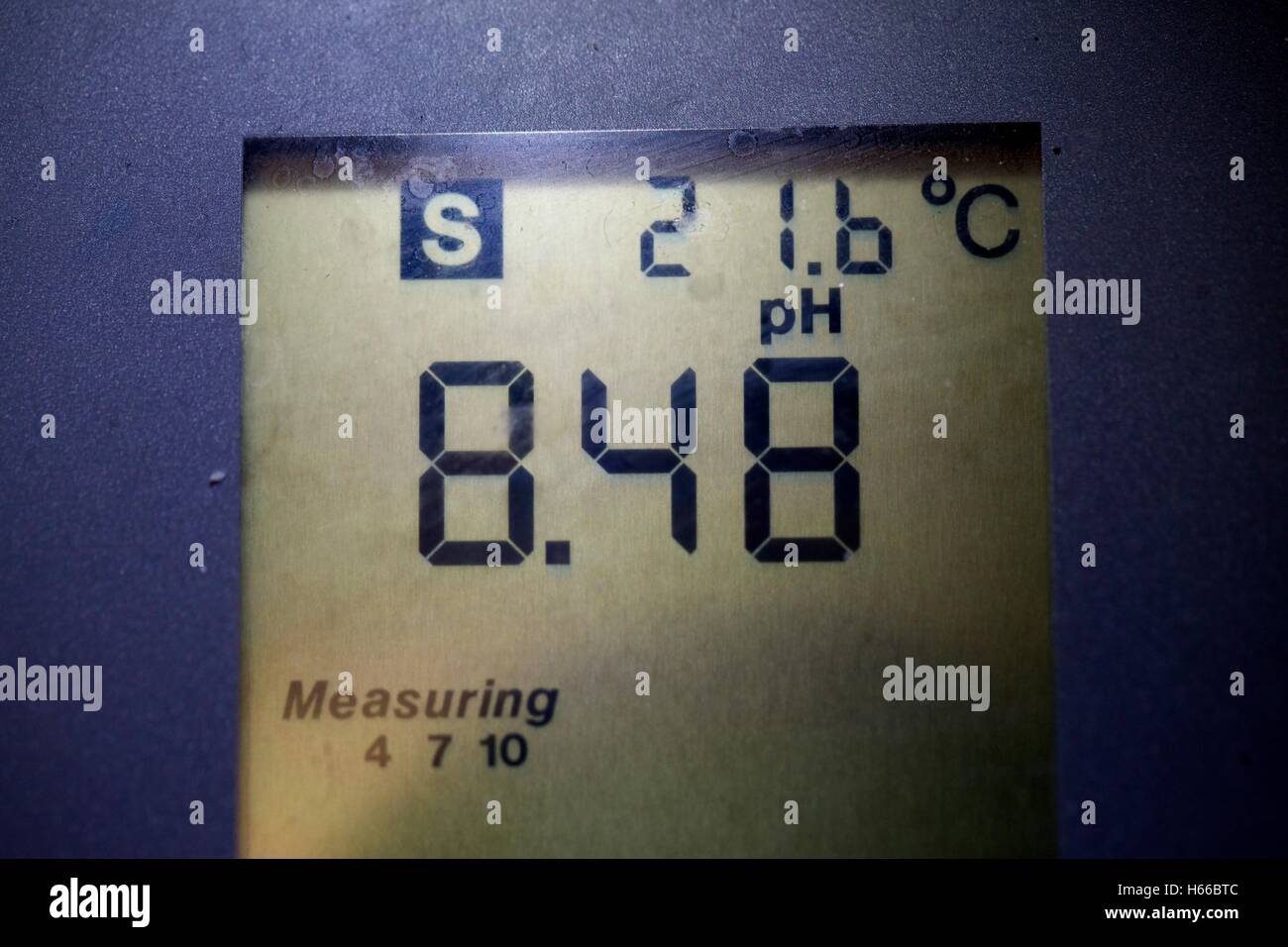 Misuratore di pH di pannello LCD che visualizza un pH di 8,48. Foto Stock