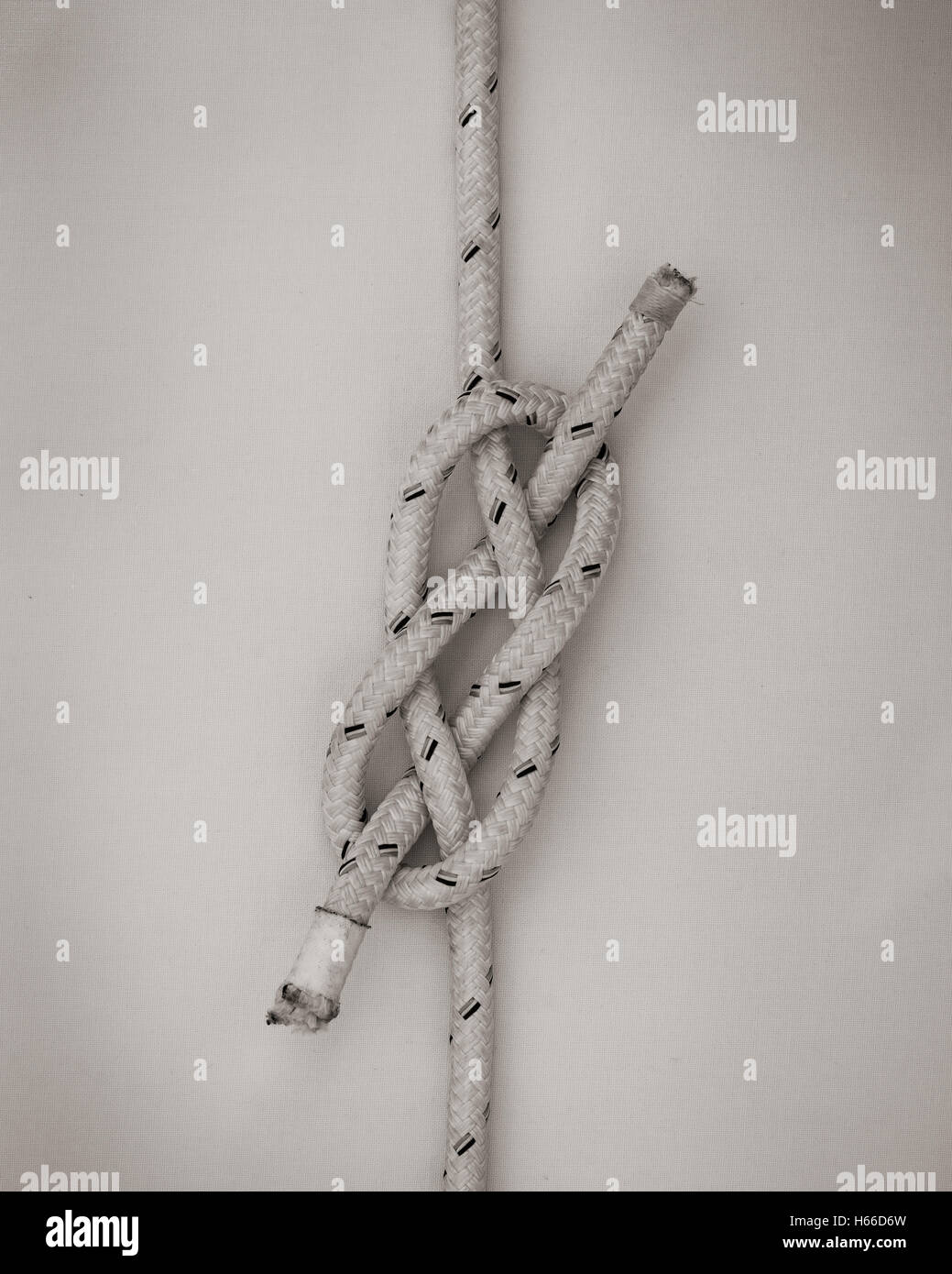 Foto di Michael Carrick Bend, che è un nodo spesso utilizzato per unire due corde o linee. Foto Stock