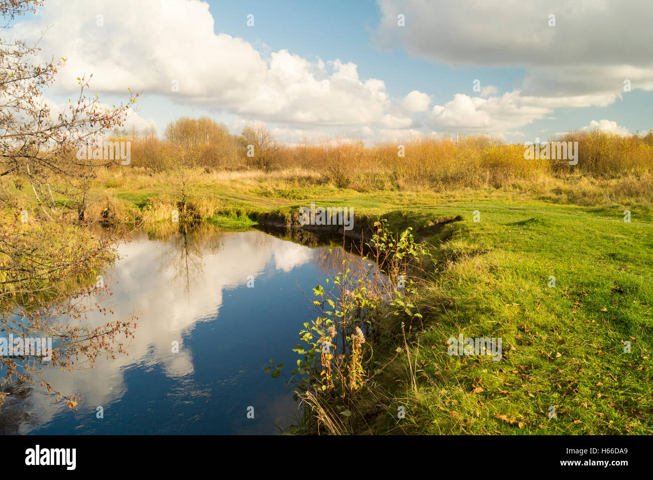 Paesaggio autunnale con piccolo fiume su sfondo blu cielo Foto Stock