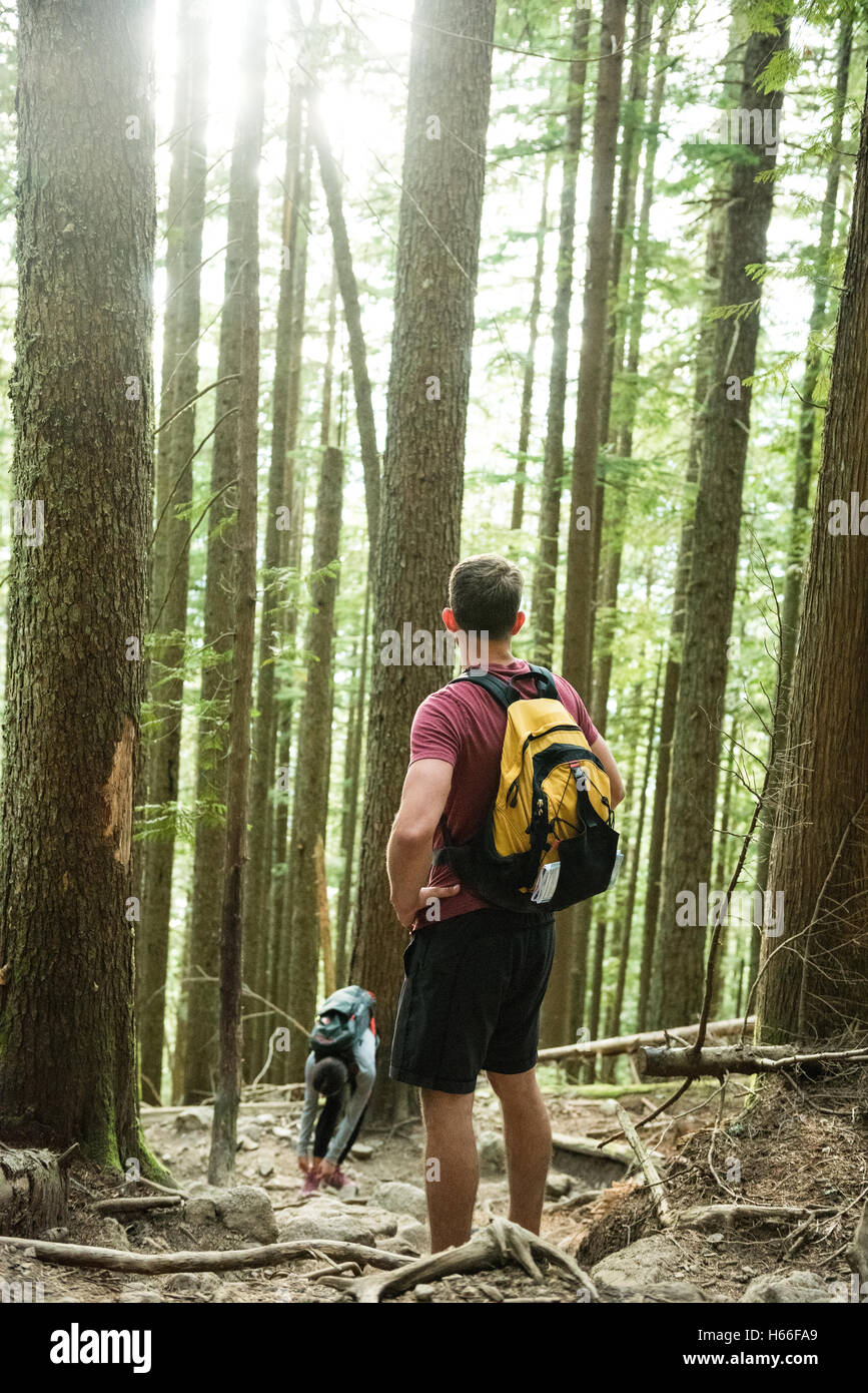 Uomo in piedi nella foresta campagna Foto Stock