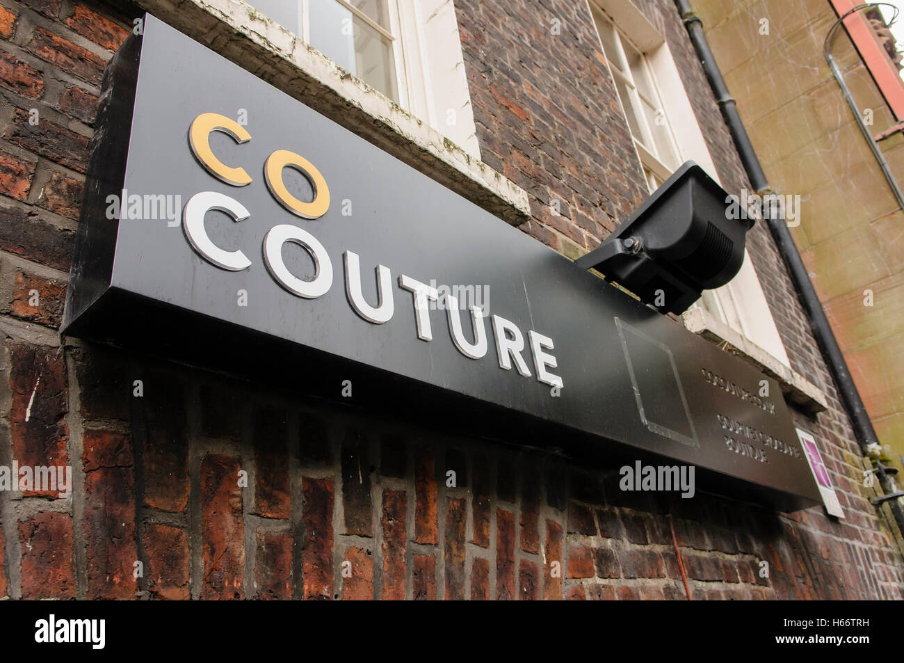 Co Couture, Belfast, un premiato chocolatier. Foto Stock