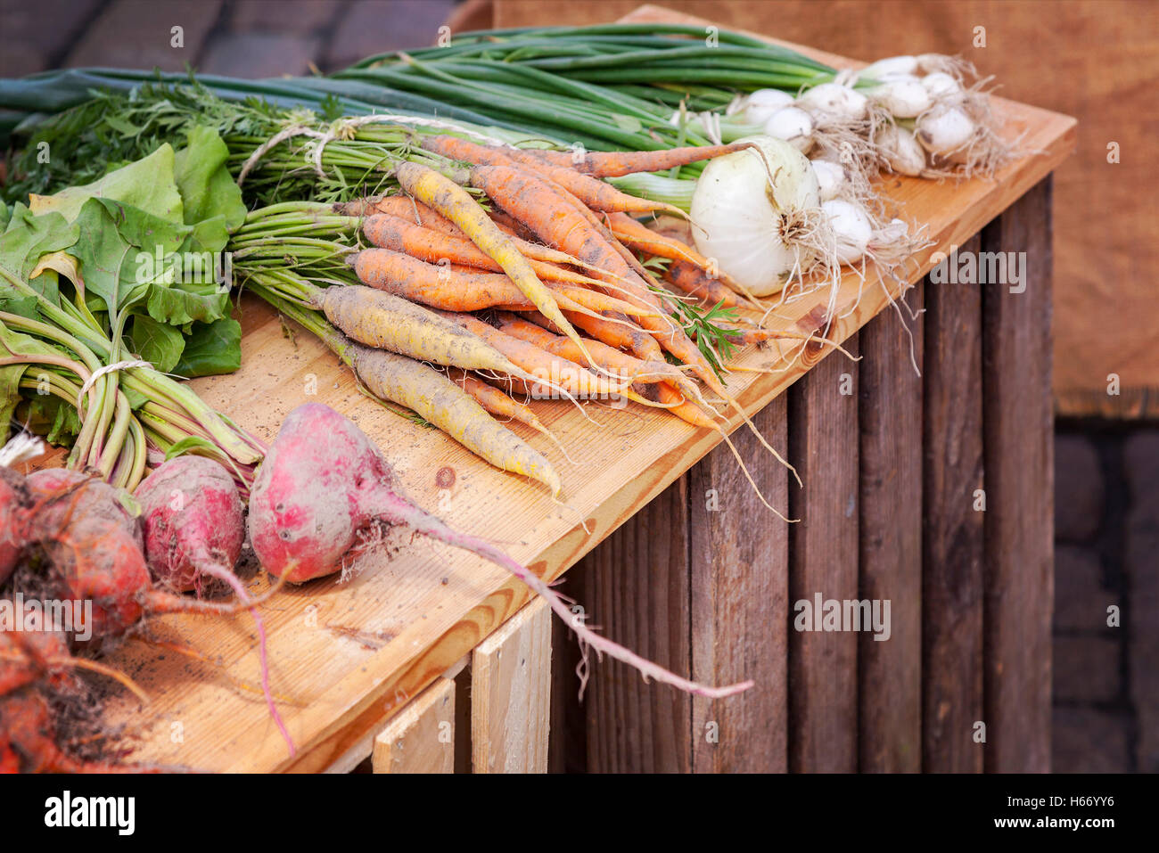 Organici freschi ortaggi a radice sul display nel mercato degli agricoltori. Foto Stock