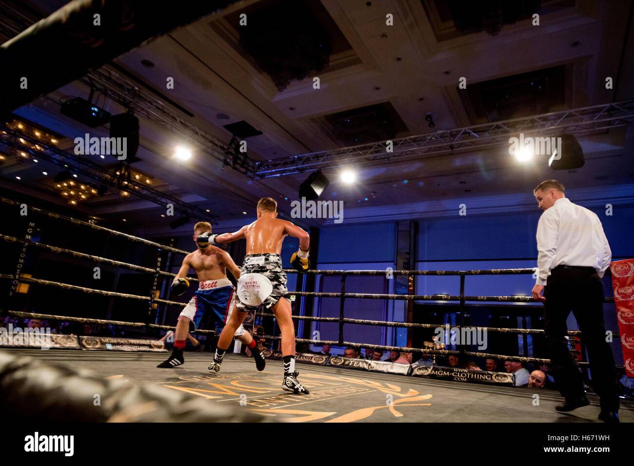 Fight Night boxing, azione ringside Foto Stock