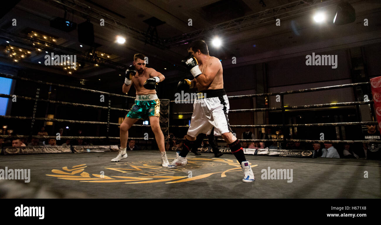 Fight Night boxing, azione ringside Foto Stock