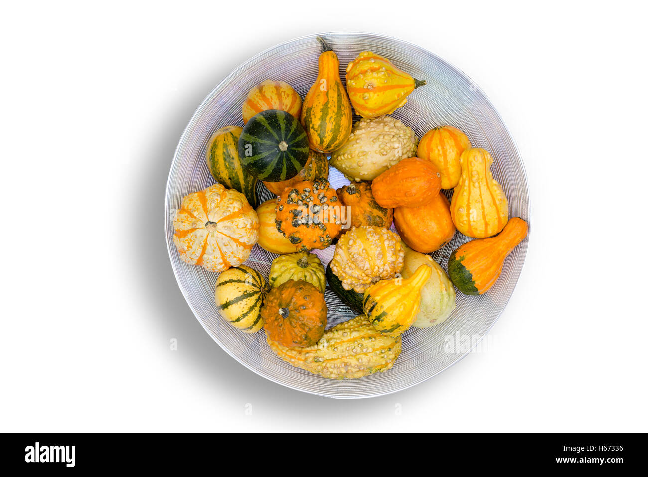 Colorato di arancione e verde ornamentale zucche autunno centrotavola per una tabella di ringraziamento visto dal di sopra su sfondo bianco Foto Stock