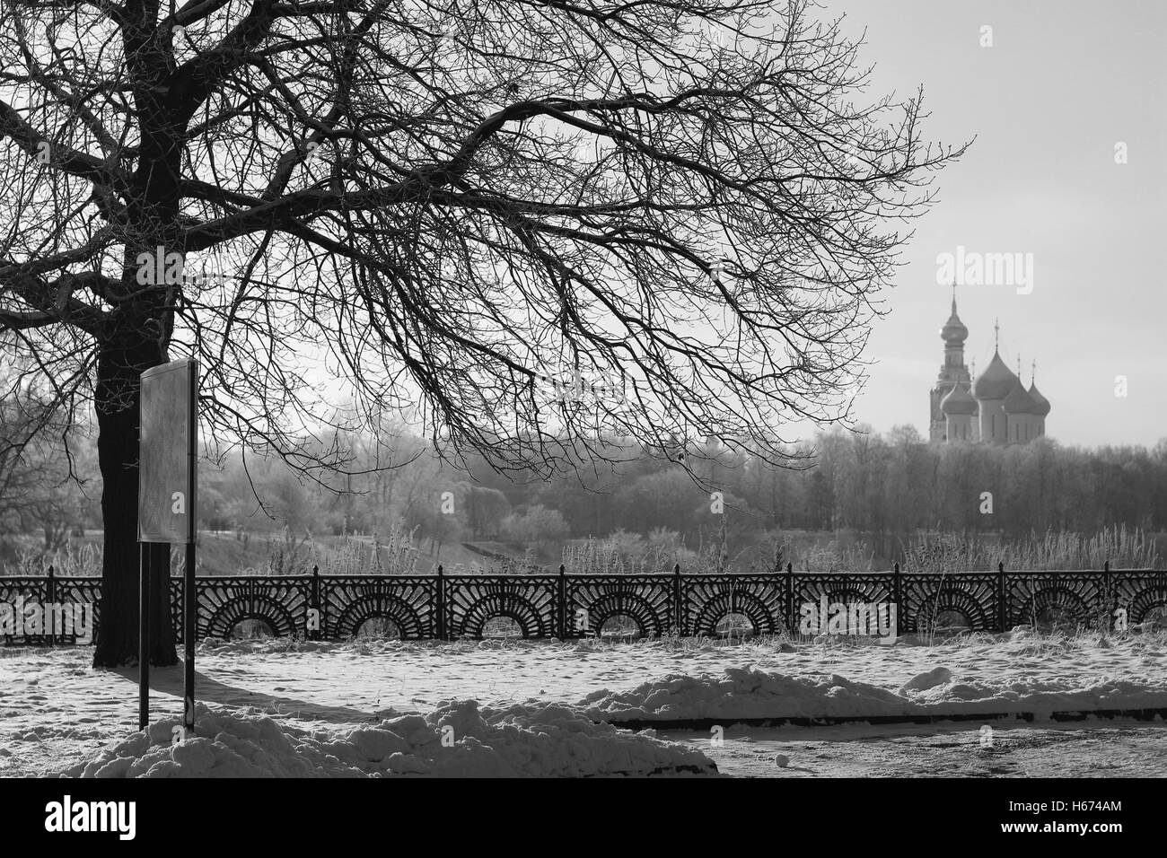 Il Parco in inverno in bianco e nero Foto Stock